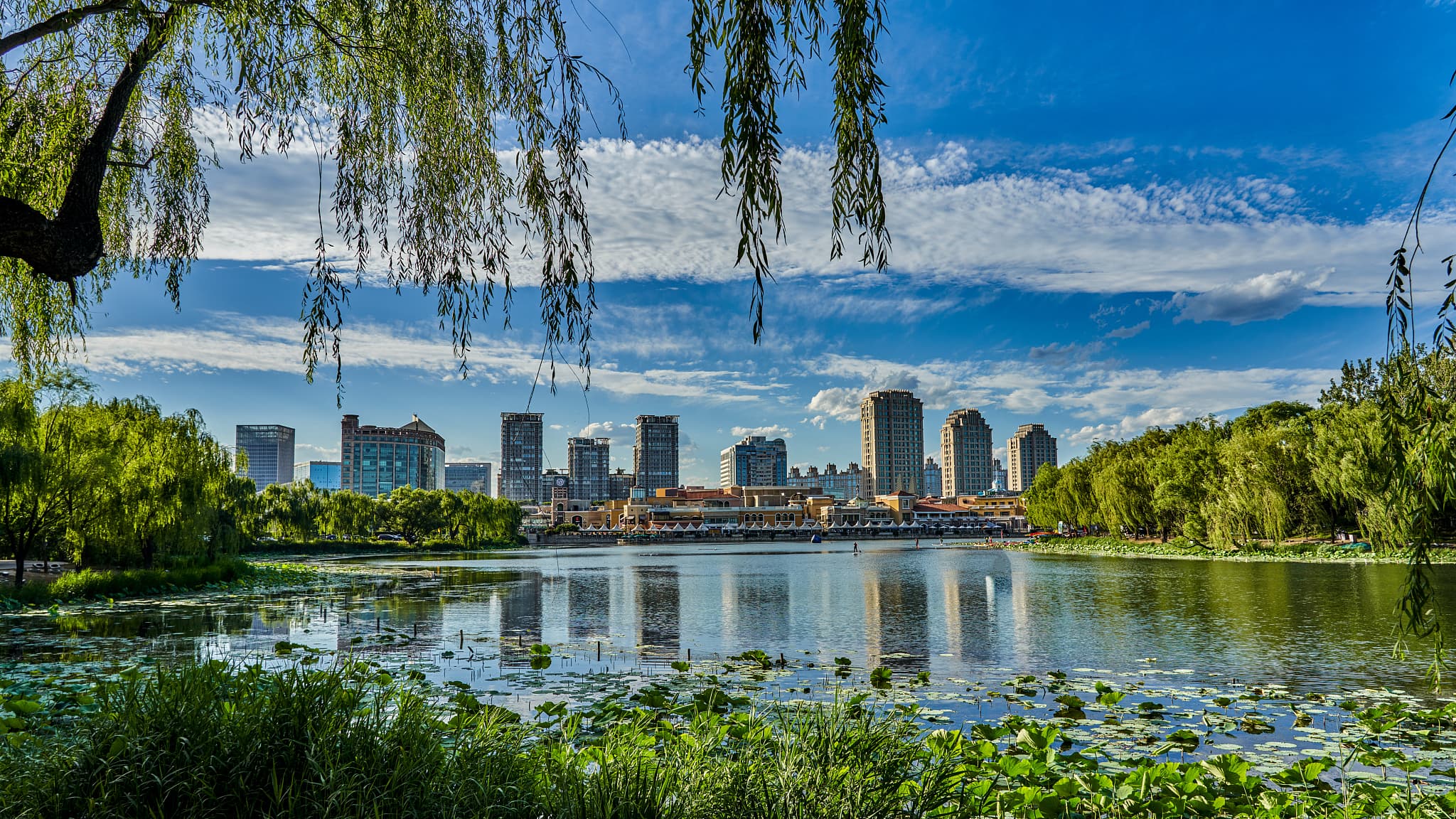 Chaoyang Park cover image